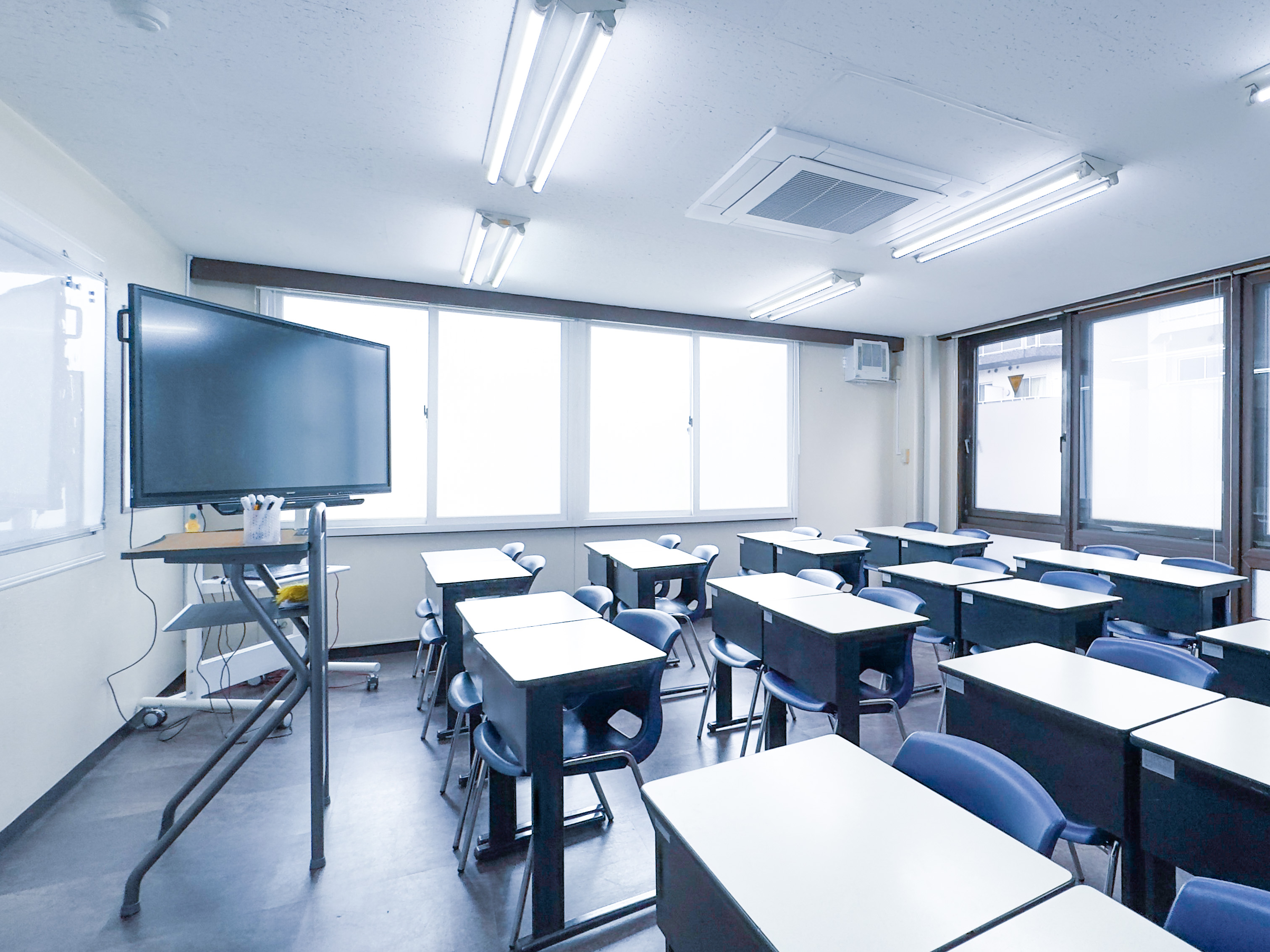 Extracurricular Activities (Disney Land, Disney Sea)